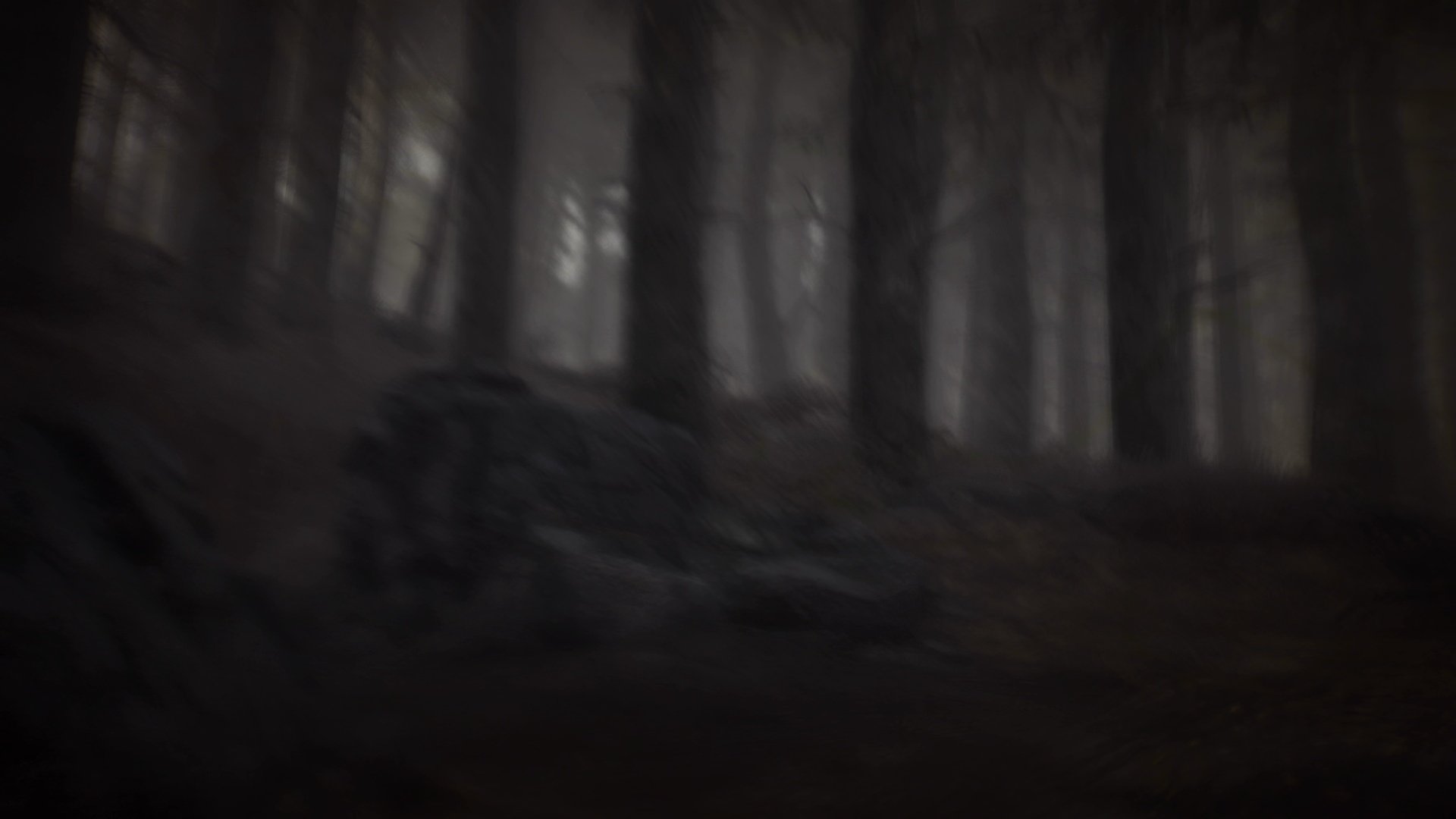 Blair Witch - Imagen 12